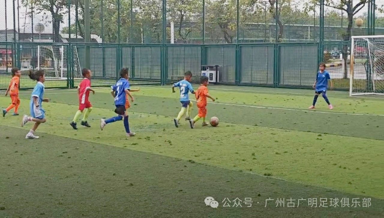 微信图片_2025-08-08_163329_153.jpg