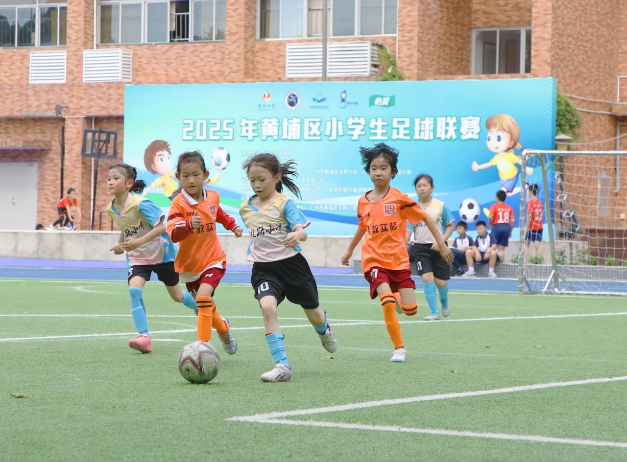 微信图片_2025-08-08_133147_604.jpg