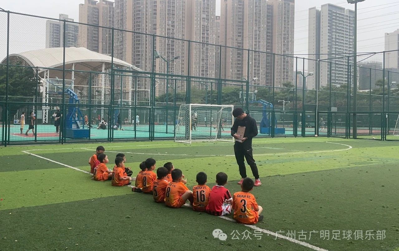 微信图片_2025-08-08_163342_159.jpg