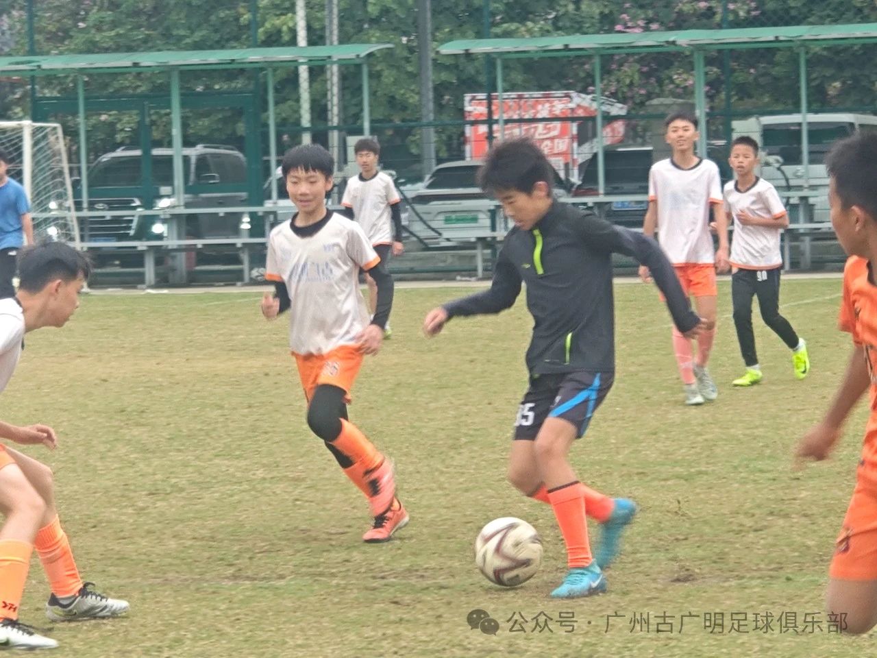 微信图片_2025-08-08_132536_910.jpg