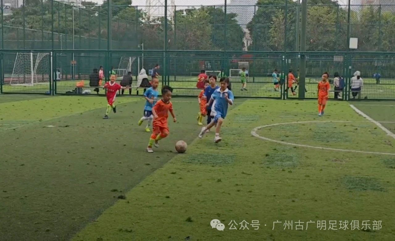 微信图片_2025-08-08_163333_296.jpg