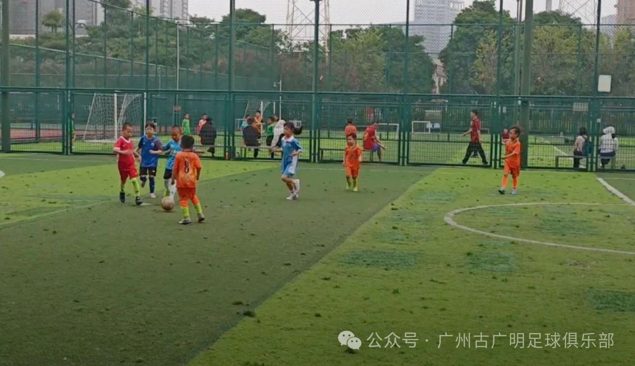微信图片_2025-08-08_163337_390.jpg
