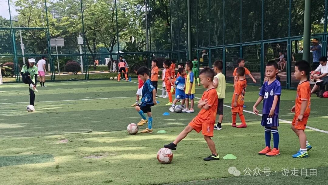 微信图片_2025-11-11_205022_720.jpg 微信图片_2025-11-11_205022_720.jpg