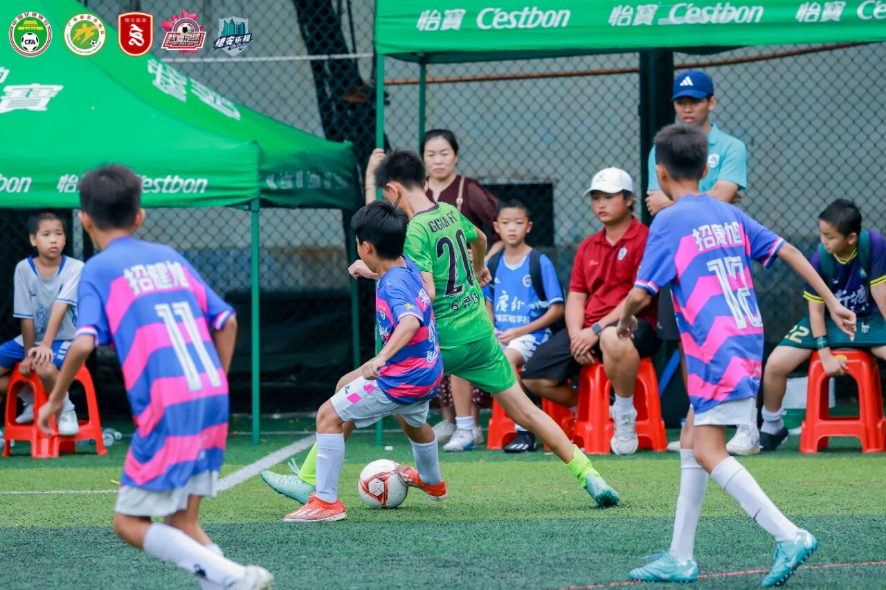 微信图片_2025-11-12_102601_311.jpg 微信图片_2025-11-12_102601_311.jpg