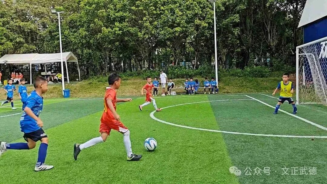 微信图片_2025-11-12_110930_240.jpg 微信图片_2025-11-12_110930_240.jpg