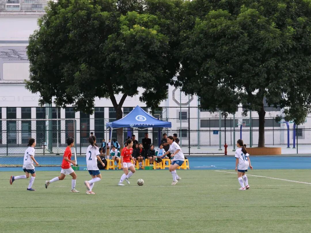 微信图片_2025-12-04_113229_619.jpg 微信图片_2025-12-04_113229_619.jpg